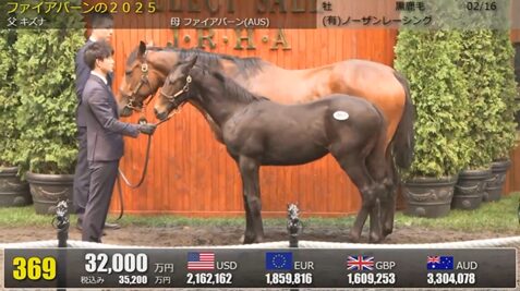 ショウナン国本氏、キズナ産駒3億2000万円「この馬が僕の夢をかなえてくれる」