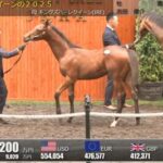 【セレクトセール2025】キングズハーレクイーンの2025(父キタサンブラック)が21,000万円で落札 他