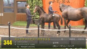 【セレクトセール2025】さあミッドナイトビズーの2024(父イクイノックス)がくるぞ