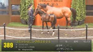 【セレクトセール2025】コミッショニングの2025(父コントレイル)が22,000万円で落札　他