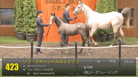 【セレクトセール2025】ゴーイングトゥベガスの2025(父イクイノックス)が45,000万円で落札 他