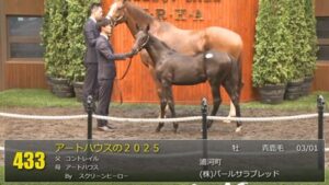 【セレクトセール2025】アートハウスの2025(父コントレイル)が13,000万円で落札　他