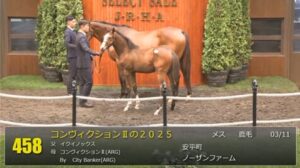 【セレクトセール2025】レディマドンナの2025(父オルフェーヴル)が17,000万円で落札　他