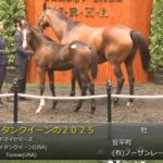 セレクトセール2025 無事終了