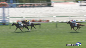 【日曜函館6R】デルマジュテーム(的場均厩舎)×的場勇人騎手がｷﾀ━━━━(ﾟ∀ﾟ)━━━━!!