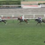 【函館2歳S】エイシンディード&Rキング騎手がキタ━━━━(゚∀゚)━━━━!!