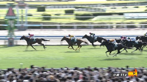 【小倉記念】イングランドアイズ＆松若騎手がｷﾀ━━━━(ﾟ∀ﾟ)━━━━!!