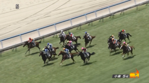 【日曜小倉5R新馬戦】注目馬リアライズルミナス、ベレシート登場