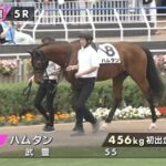 【日曜函館5R新馬戦】さあハムタンの時間や!