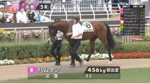 【日曜函館5R新馬戦】さあハムタンの時間や！