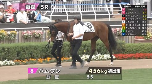 【日曜函館5R新馬戦】さあハムタンの時間や!