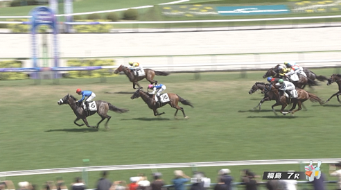 【土曜福島7R】福島らしいカオス馬券に