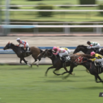 【テレQ杯】エイムインライフ&高杉騎手がキタ━━━━(゚∀゚)━━━━!!