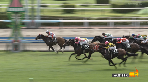 【テレQ杯】エイムインライフ&高杉騎手がキタ━━━━(゚∀゚)━━━━!!