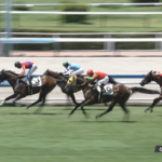 【日曜小倉4R】ポテチは未勝利を勝ち上がれるのかどうか