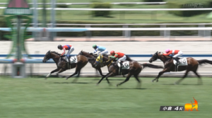 【日曜小倉4R】ポテチは未勝利を勝ち上がれるのかどうか
