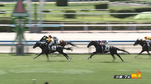 【日曜小倉7R】キーウェーブ&城戸騎手がキタ━━━━(゚∀゚)━━━━!!