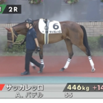 【中京2R】サッカレッロ&A.バデル騎手がキタ━━━━(゚∀゚)━━━━!!