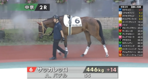 【中京2R】サッカレッロ＆A.バデル騎手がｷﾀ━━━━(ﾟ∀ﾟ)━━━━!!