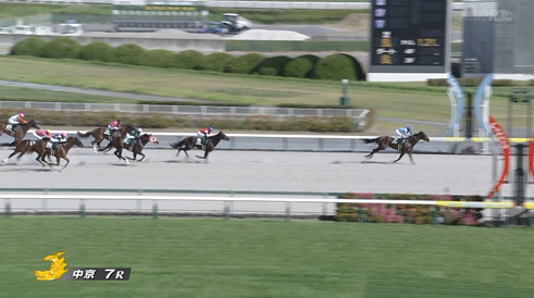7/27(日) 第42回東海ステークス(GⅢ) 反省会