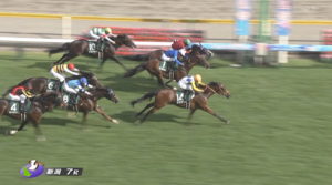 【関屋記念】カナテープってなんか今年になって強くなったよな　他