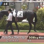 【日曜新潟3R新馬戦】さあサートゥルナーリアの最高傑作どうだ?