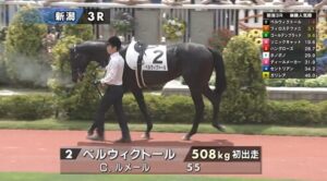 【日曜新潟3R新馬戦】さあサートゥルナーリアの最高傑作どうだ?