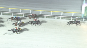 【習志野きらっとスプリント】ファーンヒル＆笹川騎手がｷﾀ━━━━(ﾟ∀ﾟ)━━━━!!