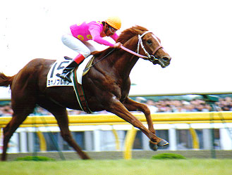 歴代で最も人気のある日本ダービー馬はなんでしょう？