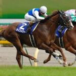 戦績のわりに地味な馬って何がおる?