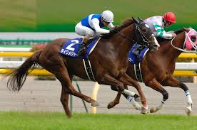 戦績のわりに地味な馬って何がおる?