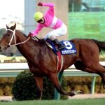 好きなマイラー、スプリンター競走馬