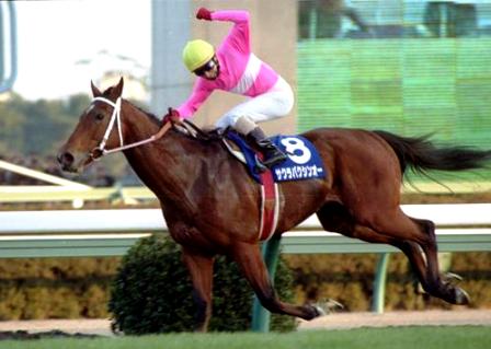 好きなマイラー、スプリンター競走馬