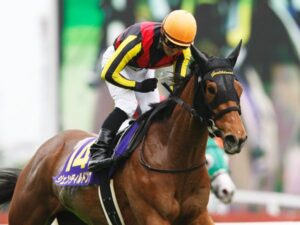 ジェンティルドンナ過小評価されすぎワロタwww