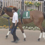 【競馬予想】[1]第61回CBC賞(GⅢ) /2025