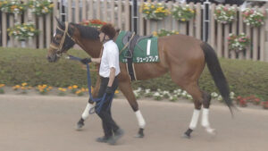 【競馬予想】[1]第61回CBC賞(GⅢ) /2025