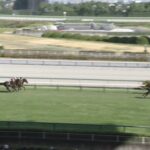 【中京2歳ステークス2025】結果・動画/キャンディードがレコード決着を制す