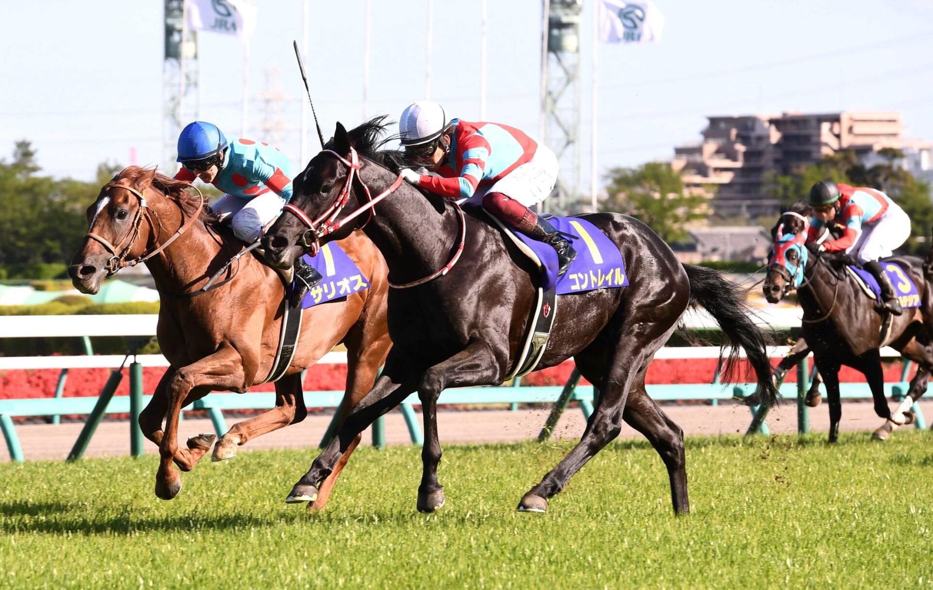 真面目にコントレイルのベストパフォのレースってどれよ