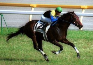 パーソロン、ヒンドスタンでも父系続かないんだしキングカメハメハが続くとは思えないんだが