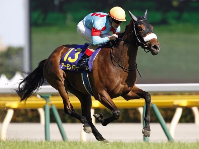 G1七勝以上の馬のうちライバル関係のレベルが一番高かったのは？