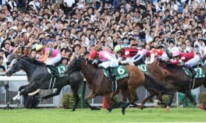 【アイビスSD】ピューロマジックが突き抜けＶ！ルメールは初参戦初制覇