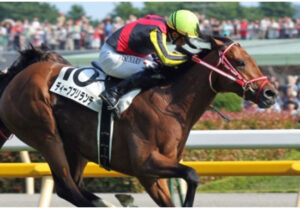 【血統考察】ディープブリランテってなんなの