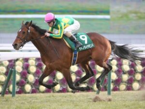 1番好きな菊花賞馬 Part2