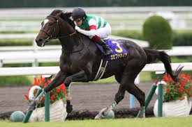 エピファネイアって当時ここまで活躍馬出すって予想出来てた？
