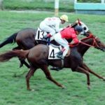 歴代最弱日本ダービー馬四天王論争再燃！オペックホース、タヤスツヨシ、マカヒキ