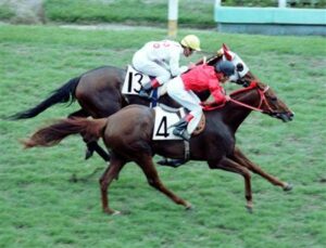 歴代最弱日本ダービー馬四天王論争再燃!オペックホース、タヤスツヨシ、マカヒキ