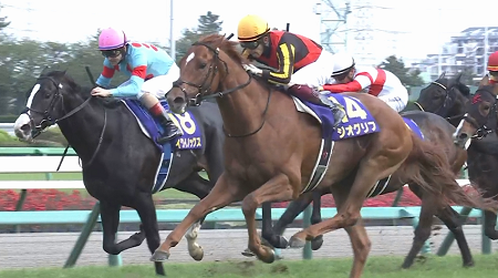 22年の皐月賞馬ジオグリフが引退 優駿スタリオンステーションで種牡馬入り