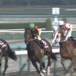 【競馬】【悲報】レーヴミストラル、ぶっ壊れる