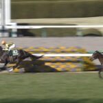 【競馬】桜花賞の単勝人気順wwwww