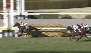 【競馬】桜花賞の単勝人気順ｗｗｗｗｗ